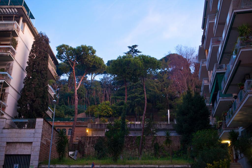 L'oasi A San Pietro Roma